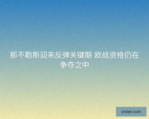 那不勒斯迎来反弹关键期 欧战资格仍在争夺之中